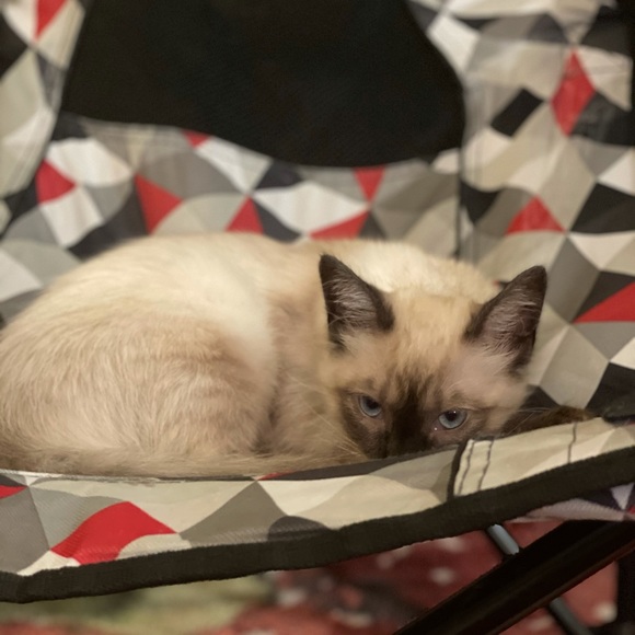 Meet your Posher, Shannon - Picture 6 of 8